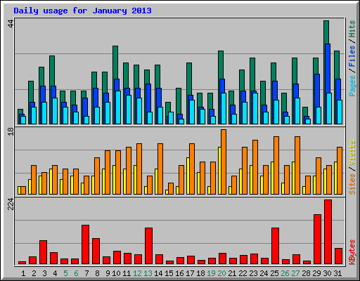 Daily usage for January 2013