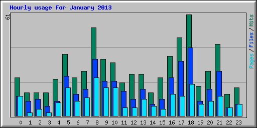 Hourly usage for January 2013