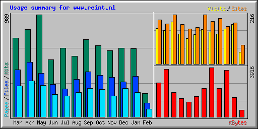 Usage summary for www.reint.nl